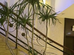 -益健·足疗汗蒸SPA(芙蓉广场店)