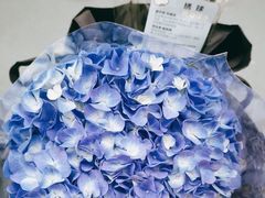 -盒马鲜生(岭南新世界店)