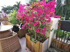 -茶油香闽南菜·花园餐厅(前埔店)