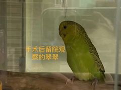 -雨林宠物医院·异宠专科(浦东分院)