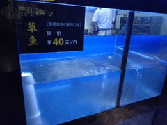 -严厨老坛酸菜鱼(吴江万宝店)