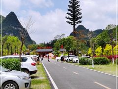 -靖西鹅泉风景区