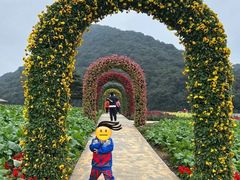 -广州市石门国家森林公园