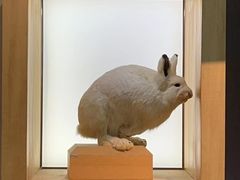 -上海自然博物馆