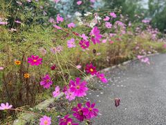 -妙峰山风景名胜区