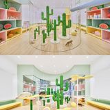 猫咖探店，和猫咪一起分享下午茶。