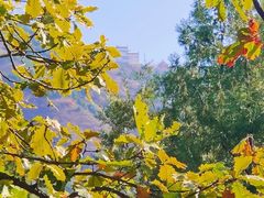 -北京十三陵国家森林公园蟒山景区