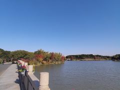 -昆山城市生态森林公园