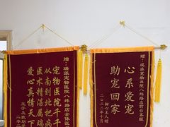 -瑞派宠物医院·内科·软组织·绝育中心(沈阳八纬路分院)