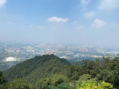 -杭州半山国家森林公园