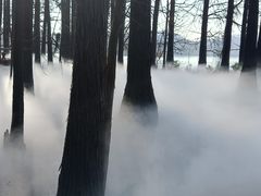 -东湖落雁景区
