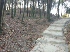 -银瓶嘴森林公园