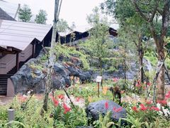 -新加坡飞禽公园