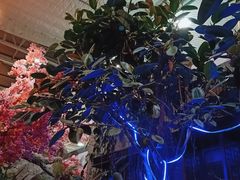 -滕头生态酒店(奉化店)