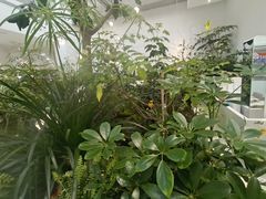 -大树餐厅(红旗街万达店)