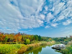 -上海长兴岛郊野公园