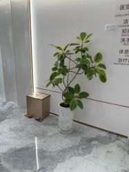 点击看大图 -深圳美莱医疗美容医院