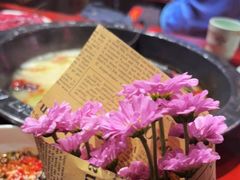 -袁老四重庆老火锅(桐梓坡店)