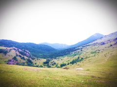 -大姆山草场