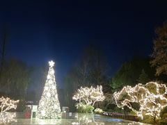 -杭州西子湖四季酒店-WL BISTRO西湖餐厅(灵隐路店)