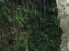 -杭州黄龙洞