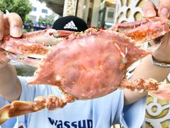 苏子蟹-天天渔港海鲜酒家(石浦玉泉路店)