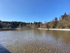 -武陵山森林公园