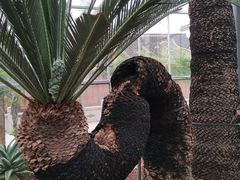 -南通洲际绿博园