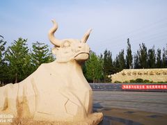 -永定河休闲森林公园