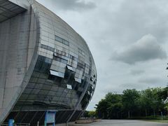 -广西体育中心-游泳馆