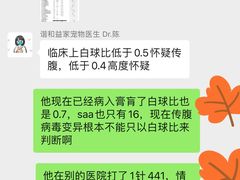 -谐和贝康宠物医院24小时·宠保定点(急重症转诊中心)