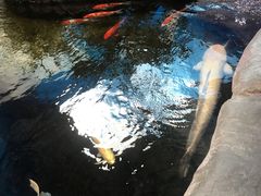 -鸿通城购物中心