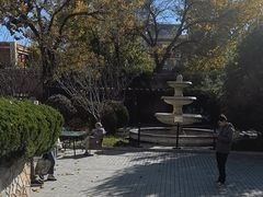 -静园(和平区)