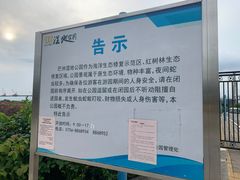 -芒洲湿地公园