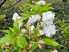 -白塘生态植物园