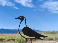 -野鸭湖国家湿地公园