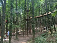 景点-山王坪喀斯特国家生态公园