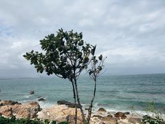 -三亚蜈支洲岛旅游区