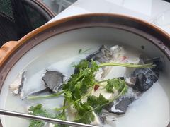 -宝荣鱼馆·临湖之宴(千岛湖店)
