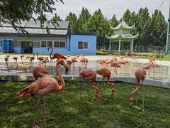 -秦皇岛野生动物园