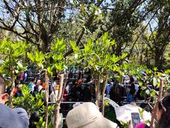 -韶山毛泽东同志故居