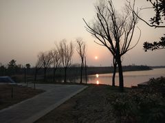 -合肥滨湖国家森林公园