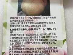 -老袁家蜜桃农场·阳山水蜜桃