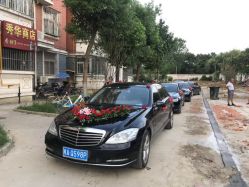 -蚂蚁婚车