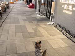 -MARSMART PETS火星宠物超市(1733店)