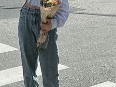 -溪岸路花鸟市场