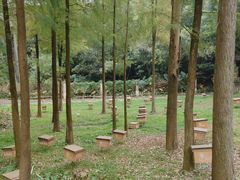 -广州市白云山风景名胜区
