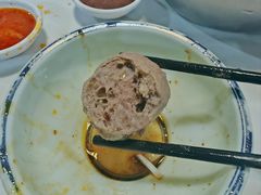 Q弹牛肉丸-菜忠潮州牛肉店(岗厦店)
