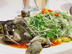 -T館·花园艺术餐厅