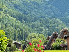 -白川乡与五箇山的合掌构造村落